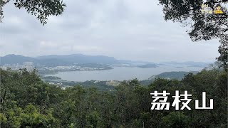 ( 香港郊遊 ) 荔枝山 輕鬆行山路線 短線行山 大埔行山