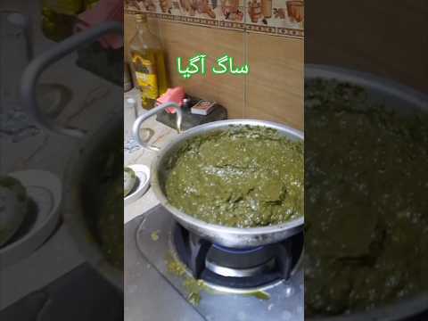 ساگ آگیا ،saag ,viralshort