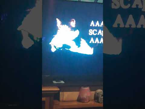 My cats reaction to 2 truths & 9 lives