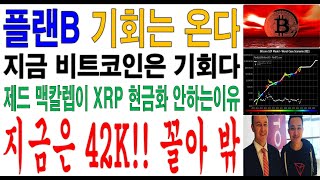 제드 맥칼렙이 리플을 안파는 이유는 XRP가 만원 간다는 소문 때문? / 비트코인 지금이 기회?