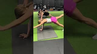 Bird Dog | Core Control & Balance for Gymnasts
