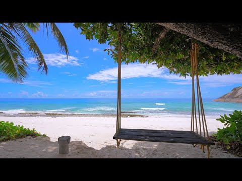 Paradise Found: Turquoise Ocean Water and Wild Beach! Seychelles 4K ULTRA HD