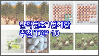 난각번호1번계란 추천 스마트 구매의 시작 가격, 품질, 판매량 TOP 10 상품