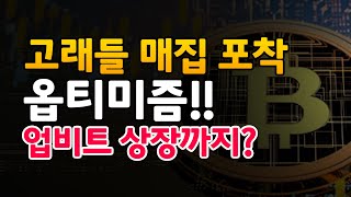 고래들 매집 포착!! 옵티미즘!! 업비트 상장 까지??