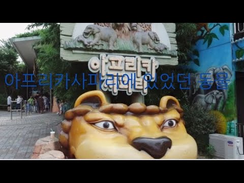 대전오월드 아프리카사파리에 있었던 동물