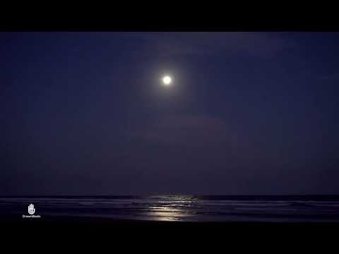 DreamBeats - Moonlight Orchestra