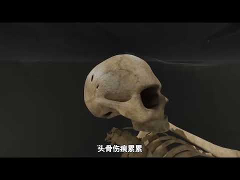 #理查三世 #历史