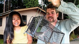 PESTS GET INTO OUR HOME | RENOVATION CONTINUES! ISLAND LIFE