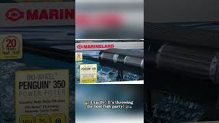 Ultimate Filtration 🐟💧 | Marineland Penguin Filter