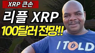 리플코인 큰손, ㄷㅂㅊ ㅈㄹㅁ, XRP 100달러 전망 #xrp