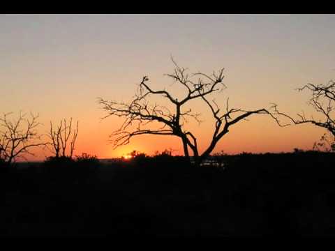 Lonely Music - "Alone and Wandering"