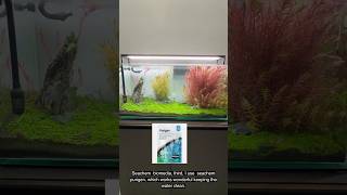 Proven tips for pristine tan ! #AquariumTips #CrystalClearWater #FishTankMaintenance #AquascapeCare