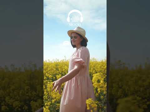 Beautiful Zen Music 🎶 Slow Relaxing Guitar & Piano for Inner Peace
