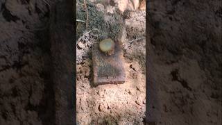 Ww1 german position excavation from rigasfrontline easternfront #germanmilitary #metaldetecting #xp
