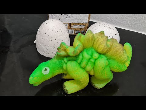 ไข่ไดโนเสาร์แช่น้ำ💦🥚🦖 #ภูโตชวนเล่น #ภูโตไงจะใครละ #ภูโต6y