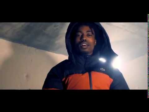 DaBoii (of SOB x RBE)- Long Run
