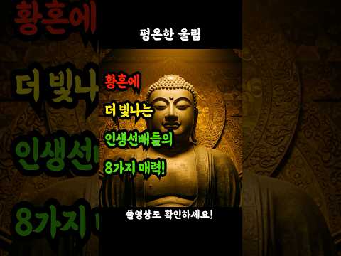황혼에 더 빛나는 인생선배들의 8가지 매력! #황혼의매력 #인생선배 #멋진시니어 #어르신의품격 #노년의지혜 #아름다운노년 #골든에이지 #실버세대 #시니어라이프 #존경받는어르신