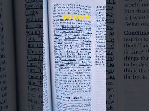 John 21:15-19 #bible #bibleverse #jesus #catholic #dailyscripture