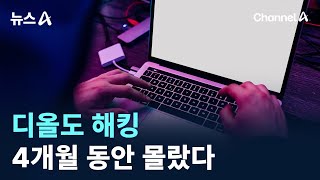 디올도 해킹…4개월 동안 몰랐다 / 채널A / 뉴스A