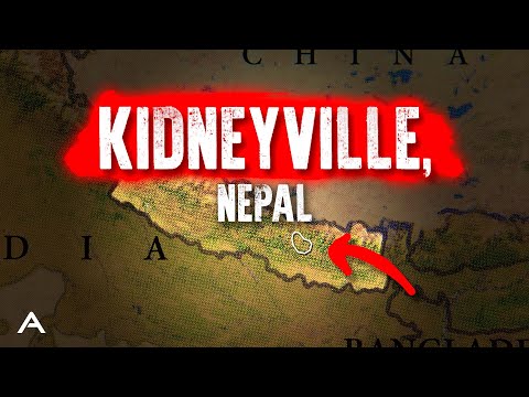 Why Everyone In This Village Had Their Kidneys Stolen