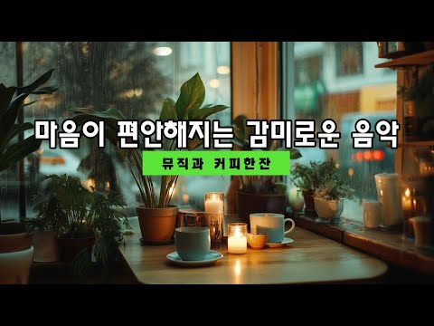 🍂🍵마음을 편하게 녹이는 소울뮤직🎵카페에서 잔잔한 감성팝송플리 playlist 🎵 🎧❤️🍃Emotional calm song🎶#감성팝송 #사랑노래 #잔잔한음악#쉴때 듣기 좋은 노래