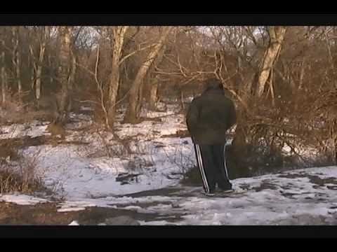 THIS - Trailer