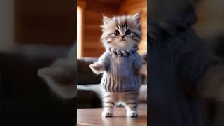Cute cat dance #catdancer #animaldance #dancingpet #catdance #cuteanimaldance #papapdol #shorts