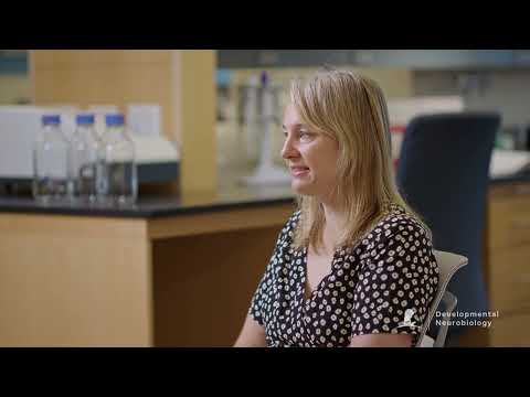 Developmental Neurobiology| St. Jude Children's Research Hospital