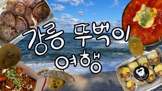 강릉 1박2일 뚜벅이 먹방여행 | 원조강릉교동반점 | 감자유원지 | 배니닭강정 | 최일순짬뽕순두부 | 브라운도트호텔 | 도넛인사이드도넛