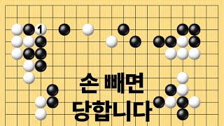 손 빼면 당합니다
