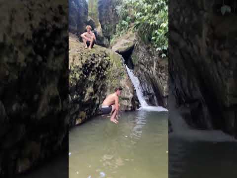 En Bas Saut Trail, St. Lucia ⛰️ #caribbeanadventure
