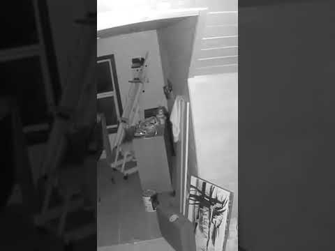 Orb tripping the security camera