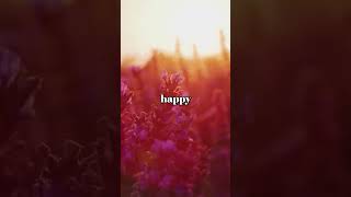 Law of Attraction Affirmations #shorts #lawofattractionaffirmations