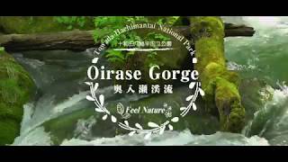 Oirase Gorge , JAPAN