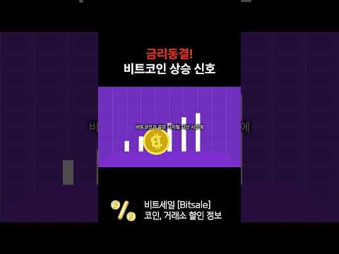 앞으로 밈코인, 알트코인의 미래는? 상승장에서 수익률 극대화 할 수 있는 거래소 추천 #비트코인