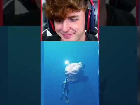 The ocean is deeper than you think.. #shorts