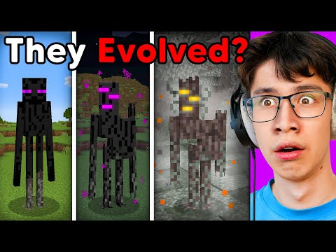 Solving Minecraft's Most Forgotten Theories…