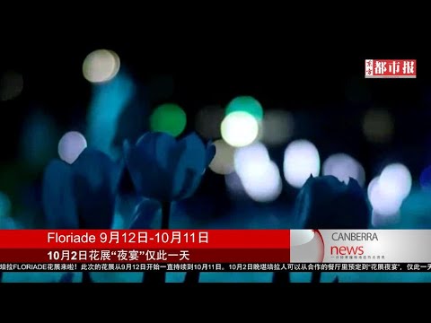 澳洲新闻：昨夜空中惊现火球，澳洲网友见到UFO了？Yarralumla游戏站的“偷猪贼”被抓，同时还缴获大麻和枪支；花展9月12日开始，10月还有花展夜宴，仅一天