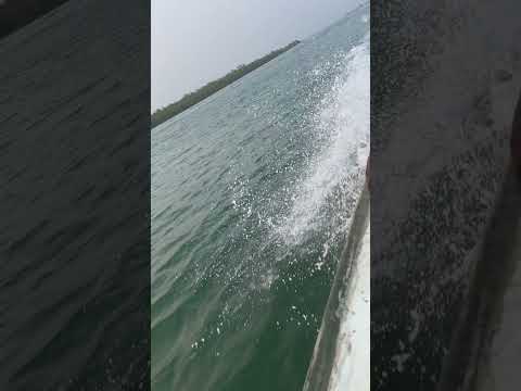 Chasing the Sunset: Speedboating Through Moheskhali