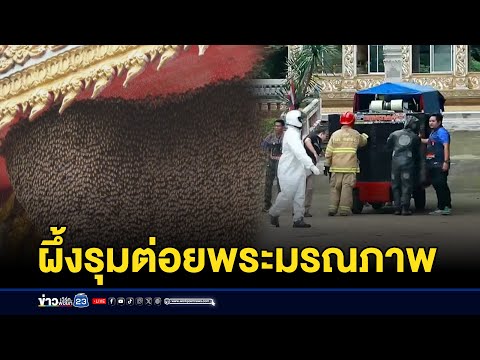 ผึ้งตกใจรถแห่ ต่อยพระมรณภาพ l ตลาดข่าว - ข่าวเช้าเวิร์คพอยท์ l 19 พ.ค. 68