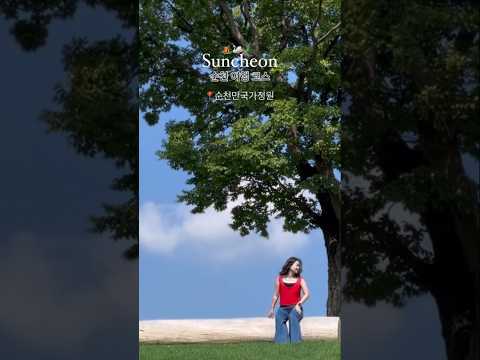 도시리뷰어 순천 여행코스 🌳