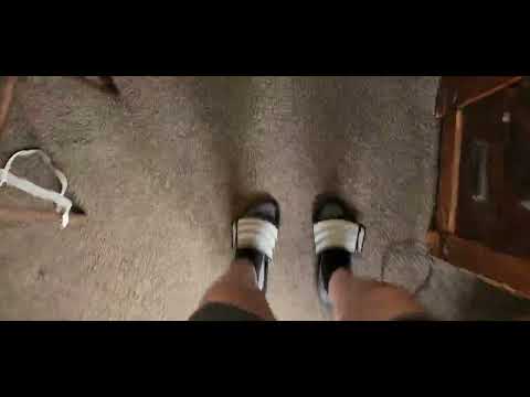 Hopping on my Carpet