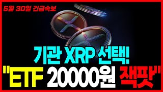 [리플 엑스알피 XRP] 기관들 비트코인 대신 리플 선택! ETF 잭팟 터졌다! 연말 20,000원 간다!
