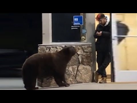 Bad Day at Work...? 2020 Part 31 - Best Funny Work Fails and Wins