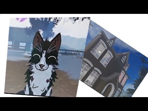 Taking a look at the kitty pet house(update) #video #roblox #wceu