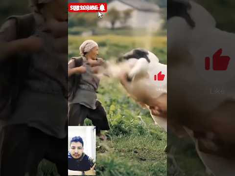 cov vs domin #shorts #funny