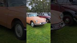 Classic Citroen DS spotted in Melbourne 👍 #car #citroen #frenchcar #shorts