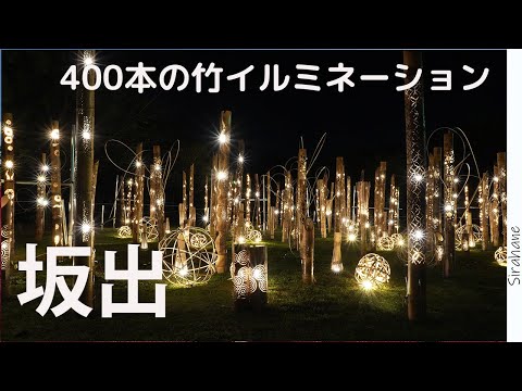 【香川】海を渡りたくなったので瀬戸大橋を渡ってイルミネーションをフォトフォークしてきた｜香川｜坂出｜アキノヨル