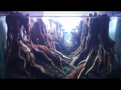hardscape nano tank 40x25x25