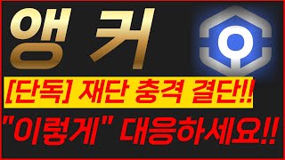 🔴앵커, [단독]재단 충격 결단!!🔥"이렇게" 대응 하세요!!